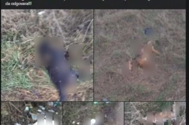 LESKOVČANIN DOŽIVEO HOROR! Na putu naišao na 20 LEŠEVA, građane prizor ZALEDIO: ''Do juče sam ih viđao...'' (FOTO)