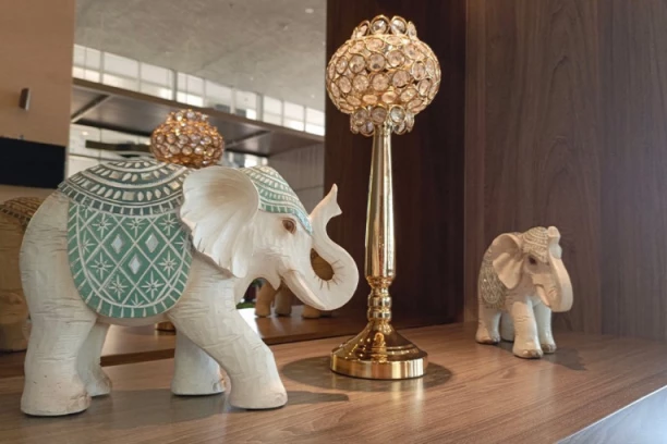 SVI IMAJU FIGURU SLONA KOD KUĆE, A 90 ODSTO JE DRŽI NA POGREŠNOM MESTU: Za ljubav stavite OVDE, a za sreću blizu OVOGA