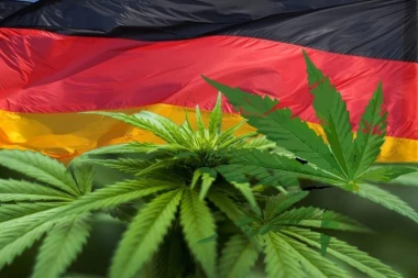 NAKON 40 GODINA ZABRANE: Legalizacija kanabisa u Nemačkoj od 1. aprila