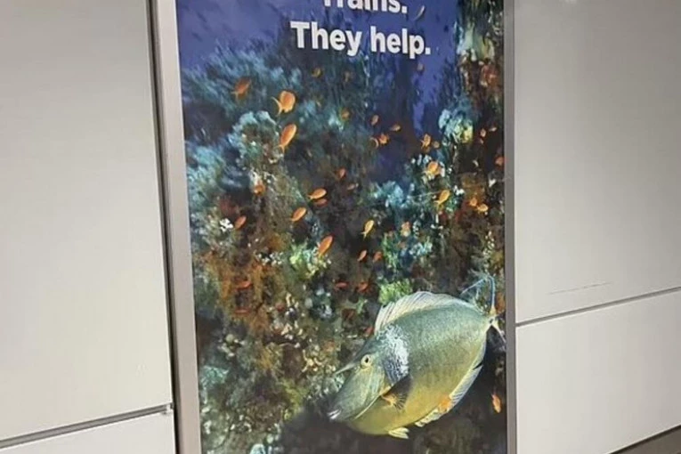 OSVANUO MISTERIOZNI POSTER NA ŽELEZNIČKOJ STANICI! Kakvo je tajno značenje ovoga na stanici u Sidneju? (FOTO)