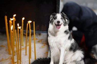 ŠTA VI MISLITE O OVOME?! Da li se u pravoslavlju PALE SVEĆE za kućne ljubimce? Otac Grigorije prvo uzdahnuo, pa otkrio: Dolaze vernici, pitaju me...