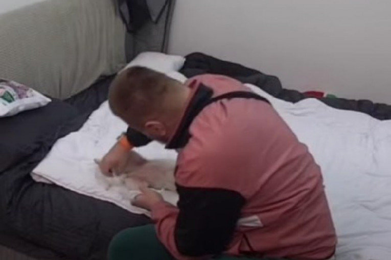 Janjuš briše psu zadnjicu nakon velike nužde na krevetu Elita