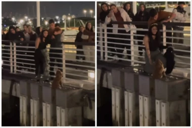 DIRLJIV SNIMAK KOJI JE PREGLEDAN MILIONIMA PUTA: Devojka rizikovala sopstveni život da spase psa sa mosta!