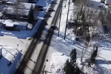 MAJKU I BEBU RASTRGAO MEDVED DOK SU ŠETALI PORED ŠKOLE! Užasnuti ljudi posmatrali kako ih rastrže! PRE TOGA JURIO ZA NARODOM! (VIDEO)