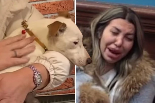 ANELI "ZGNJEČILA" VESNI GLAVU: Sela na psa, pa alarmirala celu kuću! (VIDEO)