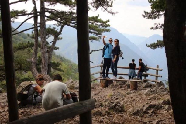 ALARMANTNO! Velika ZVER se spustila među ljude: Izdato hitno UPOZORENJE iz čuvenog turističkog mesta u Srbiji (FOTO)