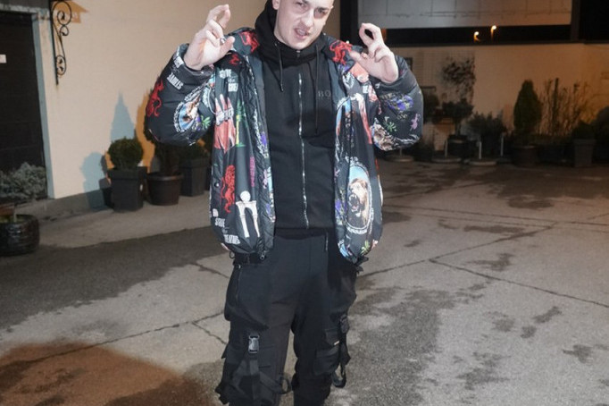 Dragomir Despić Desingerica slike