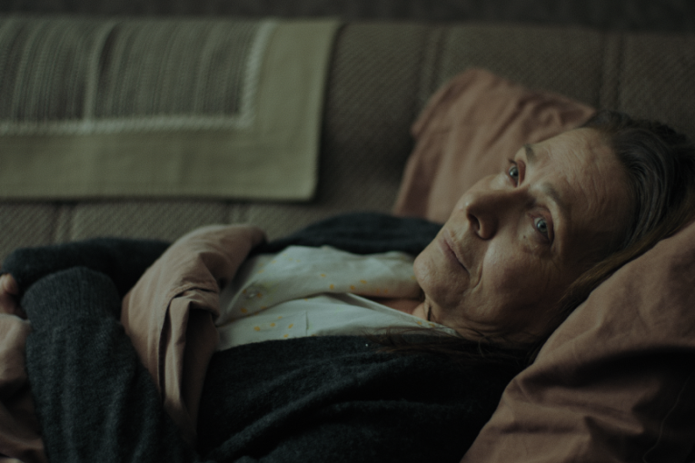 Vesna Trivalić u seriji "Koža"