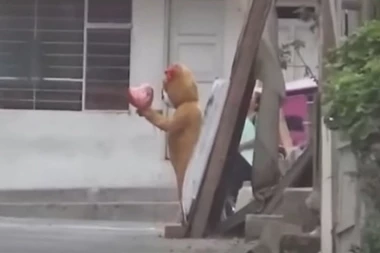 SVI SU SE NAŠLI U ČUDU: Policajac se nasred ulice prerušio u kostim MEDVEDA, a onda je ŠČEPAO OVU ŽENU (VIDEO)