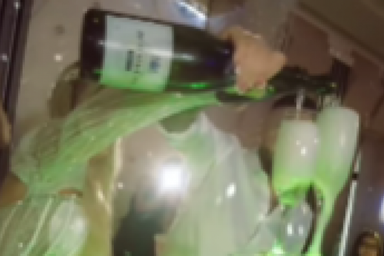 Nenad Aleksić Ša i Vanja Ignjatović snimak sa venčanja 