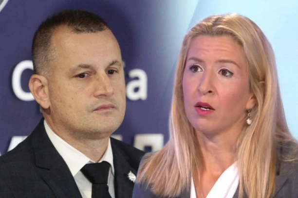 NENAD STEFANOVIĆ PODNEO TUŽBE PROTIV BOJANE SAVOVIĆ! Javni tužilac u javnosti mora da bude APOLITIČAN I NEPRISTRASAN!
