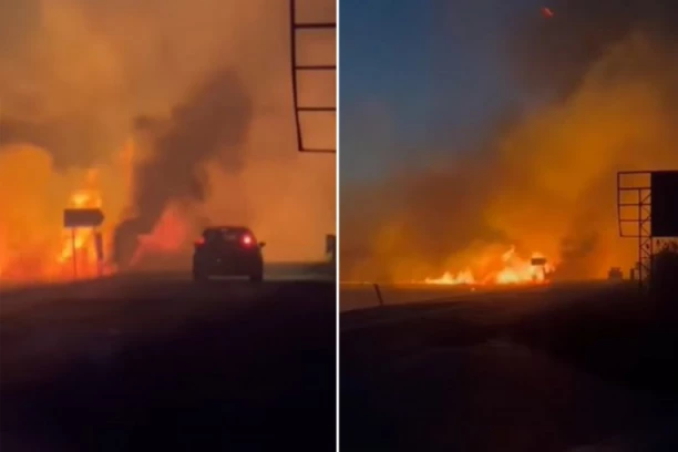 POŽAR KOD POŽAREVCA: Vatra buknula kod skretanja za Smoljinac! (VIDEO)