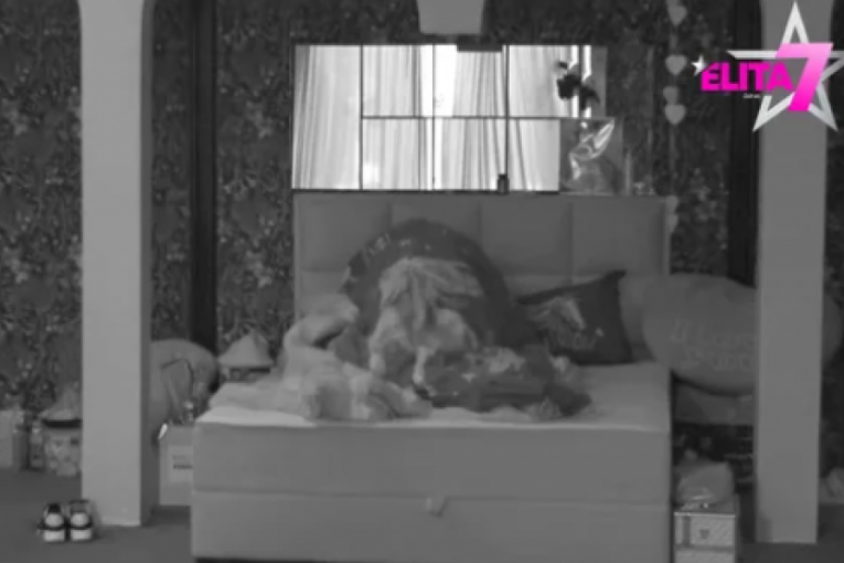 Miljana Kulić i Darjan Radomirović