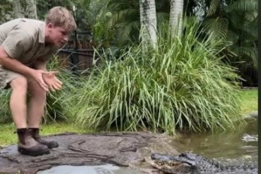 ALIGATOR JE DREMAO U VODI, A ONDA MU JE PRIŠAO MLADIĆ I POČEO DA GA IZAZIVA: Način na koji je zver odreagovala ledi krv u žilama! (VIDEO)
