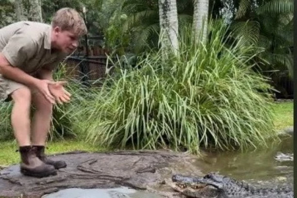 ALIGATOR JE DREMAO U VODI, A ONDA MU JE PRIŠAO MLADIĆ I POČEO DA GA IZAZIVA: Način na koji je zver odreagovala ledi krv u žilama! (VIDEO)