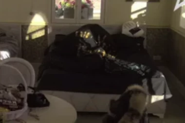 ANITA UPALILA DAHTALICU: Počastila Anđela vrelom AKCIJOM, sva se zadihala od JAHANJA! (FOTO)