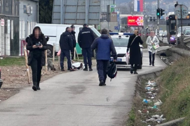 UŽAS I JEZA NA ZRENJANINSKOM PUTU! Leš leži nasred ulice! (FOTO)