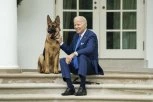BAJDENOV ''KOMANDANT'' POLUDEO I PONOVO NAPAO: Predsednikov nemački ovčar napravio HAOS u Beloj kući, BEZBEDNJAK izvukao DEBLJI KRAJ!!