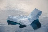 UZBUNA NA JUŽNOM POLU: Led se otopio stravičnom brzinom, postoji samo jedan način da se spasimo katastrofe