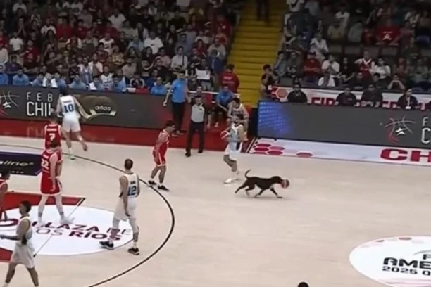 BADI PAS KOŠARKAŠ: Kuče uletelo na teren i igralo se sa loptom (VIDEO)