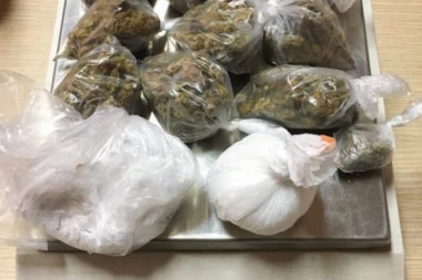 HILJADU SADNICA ČUVALI U BAZENU! Srbi uhapšeni u Nemačkoj zbog gajenja marihuane