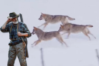 U IVANJICI OPSADNO STANJE! Preko stotinu lovaca juri DIVLJU ZVER!