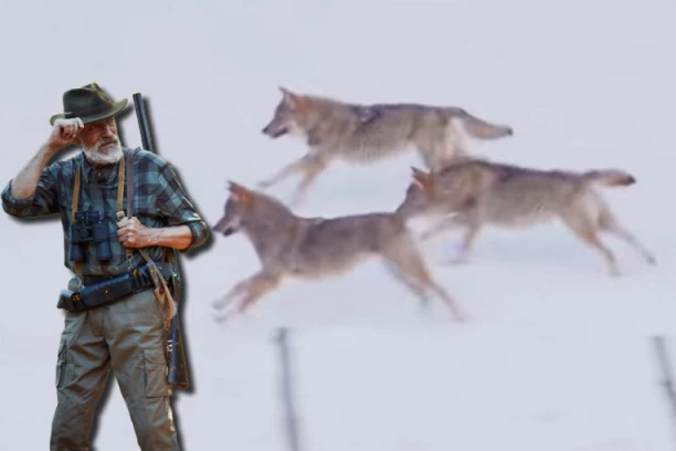 U IVANJICI OPSADNO STANJE! Preko stotinu lovaca juri DIVLJU ZVER!