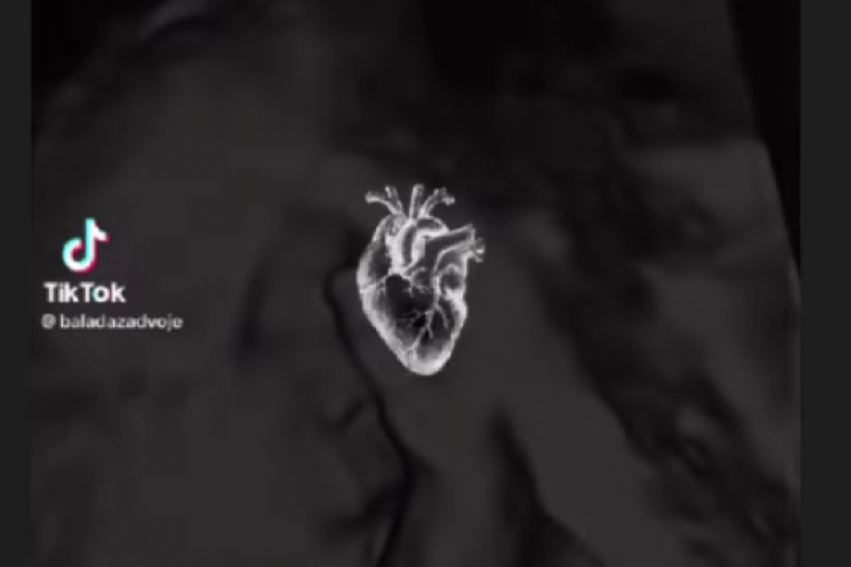 Aleksandra Nikolić i FIlip Car