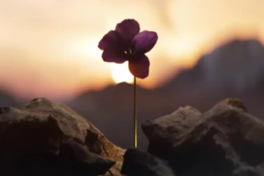 OŽIVELA TEYA DORINA RAMONDA! Pevačica konačno izbacila SPOT: Svetlo sija u tami i ona ne može nikad da ga ugasi! (VIDEO)