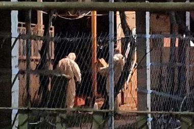 ISPRED KUĆE GDE SU RODITELJI UBILI SVOJE MALIŠANE STOJE POGREBNA KOLA! U ulici vlada grobna tišina!  (VIDEO)