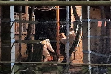 EKSKLUZIVNO SA LICA MESTA U PETROVARADINU! Forenzičari rade uviđaj, deca UBIJENA!