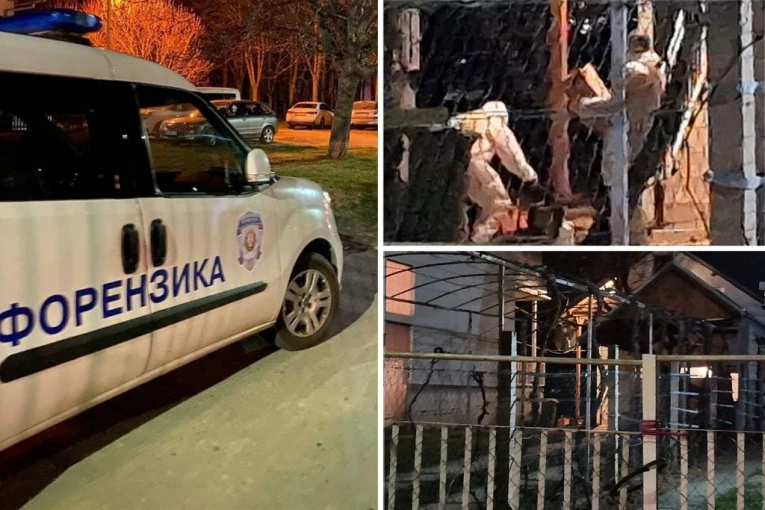 REZULTATI OBDUKCIJE UBIJENIH DEČAKA IZ NOVOG SADA! Toksikolozi i patolozi ZBUNJENI, OTROVANI su, ali ih buni JEDNO!