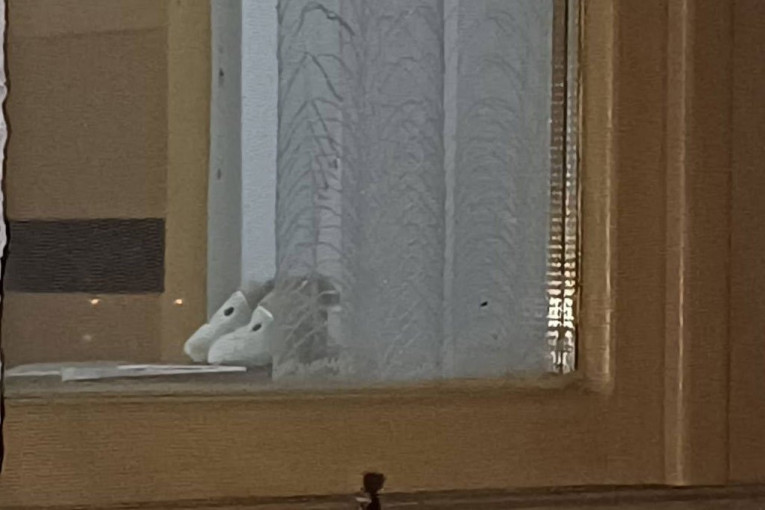 Kuća strave na Petrovoradinu 