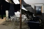 "NIJE BILO KRVI NA NJIMA, IZGLEDALO JE KAO DA SPAVAJU"! Otkriveni potresni detalji jezivog ubistva dečaka u Novom Sadu! JEDAN ZATEČEN U KREVECU, A DRUGI...!