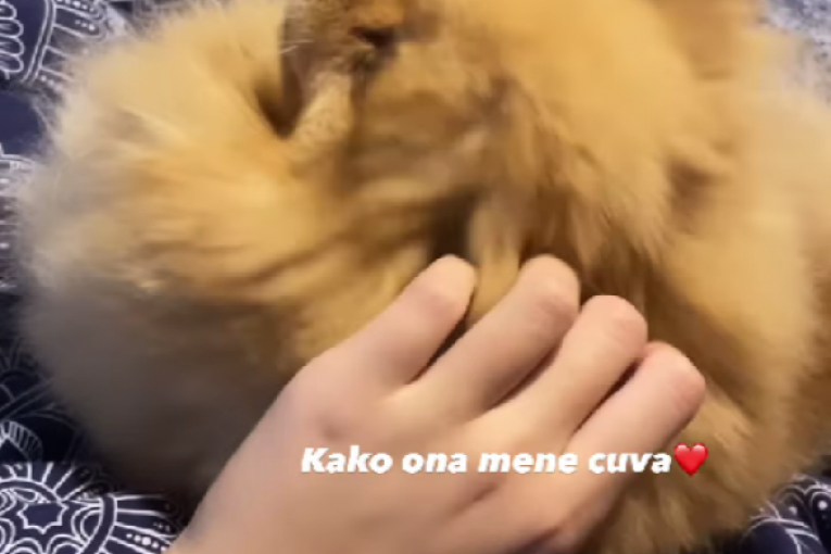 Nina Đogani Instagram