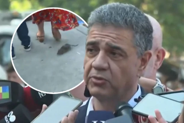 PACOV NAPAO NOVINARE USRED OBRAĆANJA GRADONAČELNIKA: Žene odmah počele da vrište, ogromnog glodara pojurio i gradonačelnik  (VIDEO)