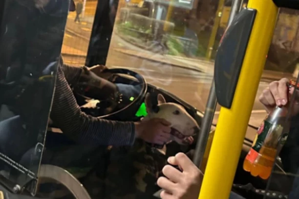 BEOGRAĐANIN UŠAO SA BUL TERIJEROM U GSP, A ONDA GA JE VOZAČ POZVAO! I dok su svi očekivali haos, desilo se nešto prelepo! (FOTO)