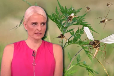 NEVIDI VRAĆAJU ZABORAVLJENU BOLEST U SRBIJU - LAJŠMINIJAZU Dr Maris: Jedan od oblika je često SMRTONOSAN!