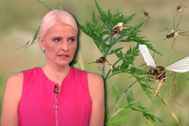 NEVIDI VRAĆAJU ZABORAVLJENU BOLEST U SRBIJU - LAJŠMINIJAZU Dr Maris: Jedan od oblika je često SMRTONOSAN!