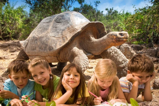 STRAVIČNA SMRT: Sedmoro dece i jedna odrasla osoba umrli nakon jela mesa morske kornjače!