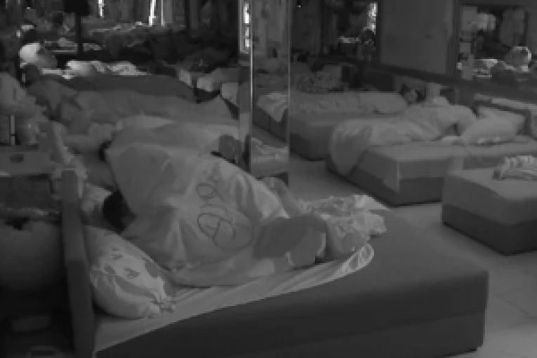 Miljana Kulić i Darijan Radomirović