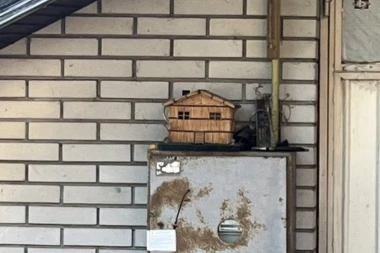 KUĆICA OD DRVETA - PRIZOR KOJI SLAMA SRCE: Komšije u ŠOKU, tvrde da je par u Novom Sadu živeo bajku! (FOTO)