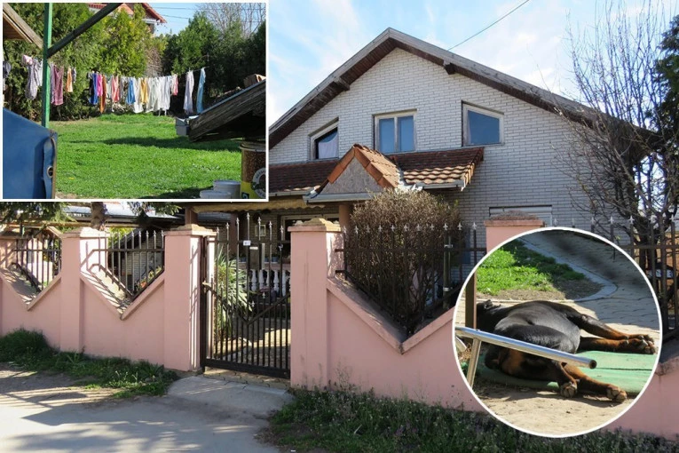 PAS SE NE POMERA, VEŠ SE I DALJE SUŠI! Potresni prizori u porodičnoj kući Nikole koji je BUŠILICOM ubio suprugu!