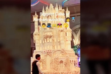 SVI SU ZANEMELI KAD JE UNETA SVADBENA TORTA: Ovako nešto još niste videli, gosti u neverici gledali poslastičarsko čudo! (VIDEO)