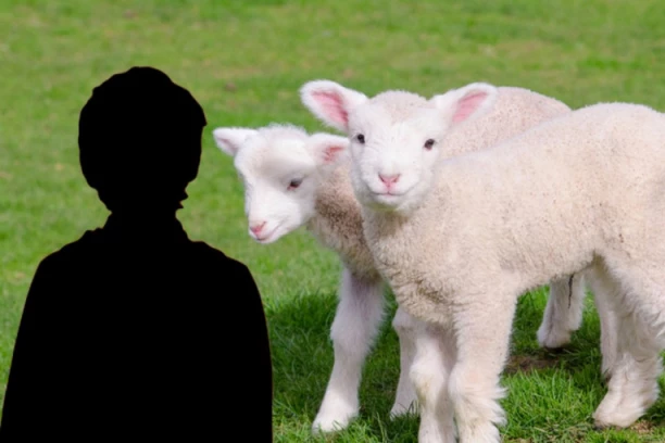 SVUDA SU BILE ODRUBLJENJE GLAVE, A ON JE BEŽAO SA SEKIROM! Oglasio se vlasnik imanja na kojem je dečak (13) POBIO JAGANJCE!