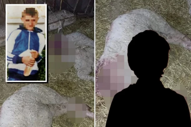 "PLAŠIM SE DA MOŽE DA URADI NEŠTO GORE" Čovek kome je dečak pobio jaganjce u strahu za život!