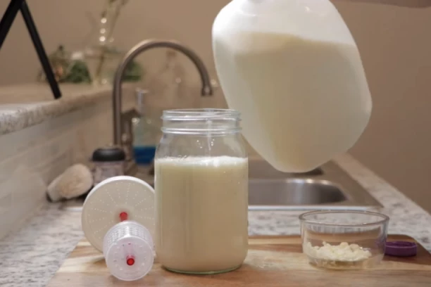 OVAJ NAPITAK IMA TRI PUTA VIŠE PROBIOTIKA OD JOGURTA: Najbolji je kada ga pijete ujutru, probajte jer nećete se pokajati!