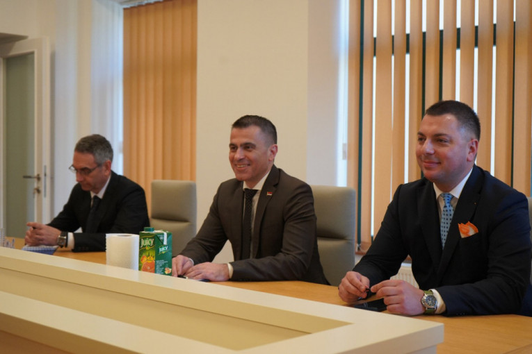 Ministar bez portfelja, Đorđe Milićević