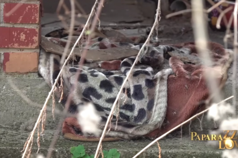 Rodna kuća Radiše Uroševića