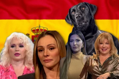 U ŠPANIJI PLAĆAJU ALIMENTACIJU ZA LJUBIMCE, a evo šta kažu naše poznate dame: Pevačica bi NAPLATILA I DECI čuvanje ljubimaca!